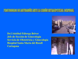 Dr.Cristóbal Fábrega Belver Jefe de Sección de Ginecología Servicio de Obstetricia y Ginecología