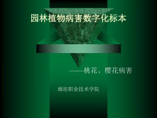 园林植物病害数字化标本