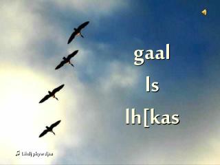 gaal ls lh[kas