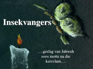 Insekvangers