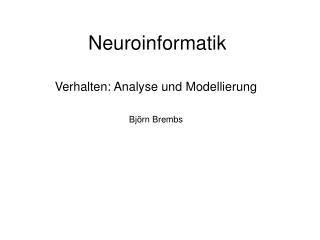 Neuroinformatik