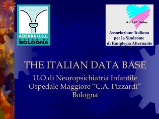 THE ITALIAN DATA BASE