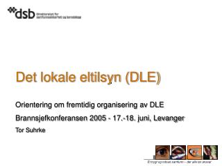 Det lokale eltilsyn (DLE)