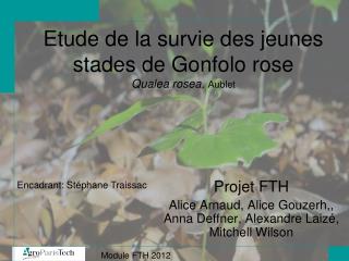 Etude de la survie des jeunes stades de Gonfolo rose Qualea rosea, Aublet