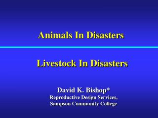 Animals In Disasters