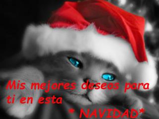 Mis mejores deseos para ti en esta * NAVIDAD*