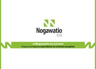 Introducción Misión de Nogawatio ESE Principales actividades desarrolladas Organigrama y CV