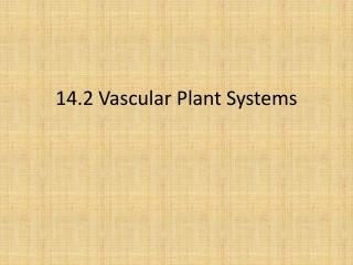 14.2 Vascular Plant Systems