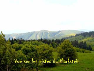 Les Vosges mardi 11 juin