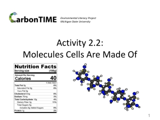 Activity 2.2: Molecules Cells Are Made Of