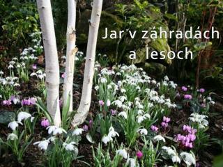 Jar v záhradách a lesoch