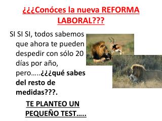 ¿¿¿ Conóces la nueva REFORMA LABORAL???