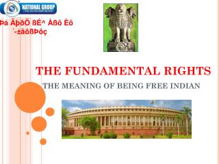 THE FUNDAMENTAL RIGHTS