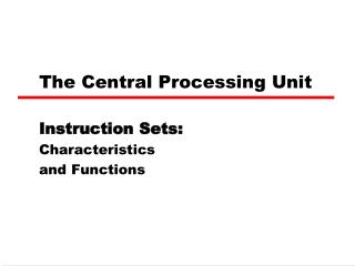 The Central Processing Unit