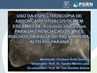 Mestranda: Cristiane Ávila Santana Orientador: Prof. Dr. Sandro Marcio Lima