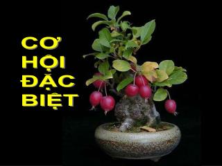 CƠ HỘI ĐẶC BIỆT