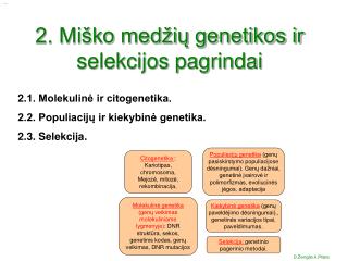 Molekuline genetika