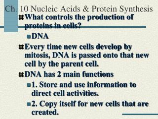Ch. 10 Nucleic Acids &amp; Protein Synthesis