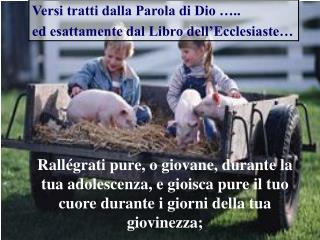Cammina pure nelle vie dove ti conduce il cuore e seguendo lo sguardo dei tuoi occhi;