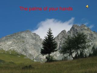 The palms of your hands