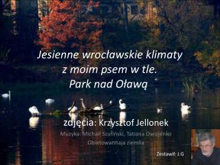 Jesienne wrocławskie klimaty z moim psem w tle. Park nad Oławą .