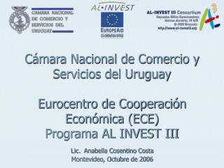 ¿Qué es AL INVEST III?