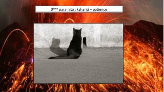 3 ème paramita : kshanti - la patience