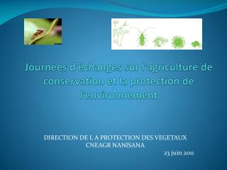 Journées d’échanges sur l’agriculture de conservation et la protection de l’environnement