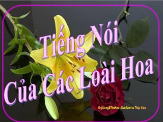 Tiếng Nói Của Các Loài Hoa