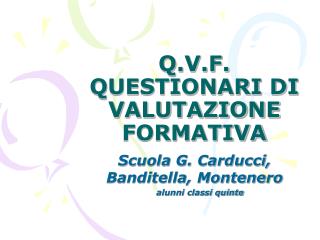 Q.V.F. QUESTIONARI DI VALUTAZIONE FORMATIVA