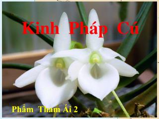 Kinh Pháp Cú