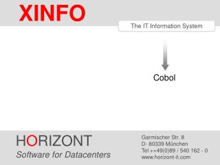 The IT Information System