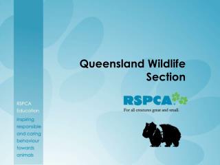 Queensland Wildlife Section