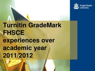 Turnitin GradeMark FHSCE experiences over academic year 2011/2012