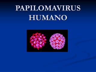 PAPILOMAVIRUS HUMANO