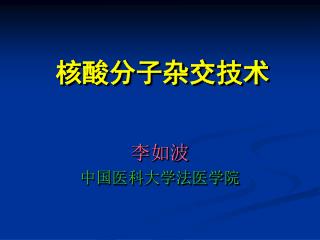 核酸分子杂交技术