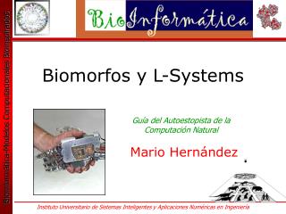 Biomorfos y L-Systems