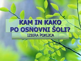 KAM IN KAKO PO OSNOVNI ŠOLI?