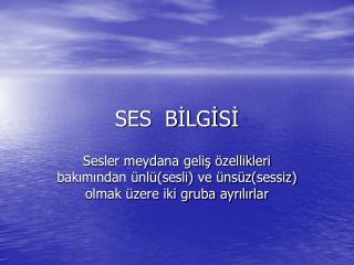 SES BİLGİSİ