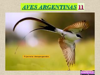 AVES ARGENTINAS