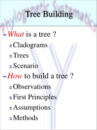 Tree Building