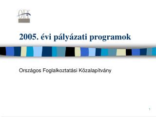 2005. évi pályázati programok