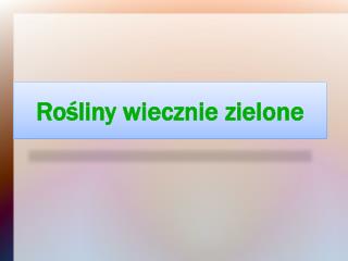 Rośliny wiecznie zielone