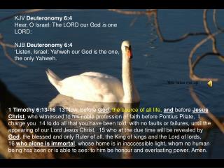 KJV Deuteronomy 6:4 Hear, O Israel: The LORD our God is one LORD: NJB Deuteronomy 6:4