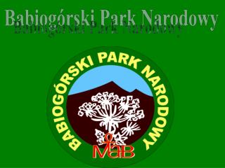 Babiogórski Park Narodowy