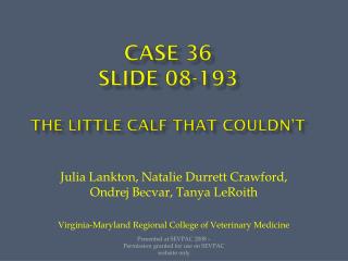 Case 36 Slide 08-193 The little calf that couldn’t