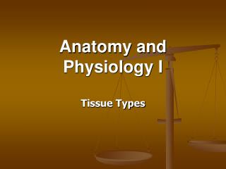 Anatomy and Physiology I