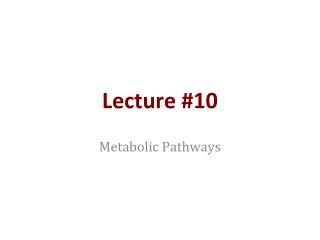 Lecture #10