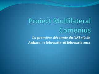 Proiect Multilateral Comenius