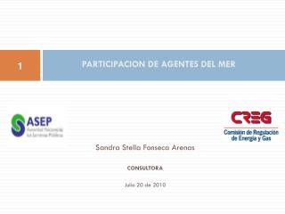 PARTICIPACION DE AGENTES DEL MER